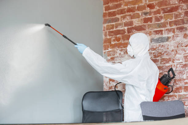 Best Mold Prevention Services  in USA