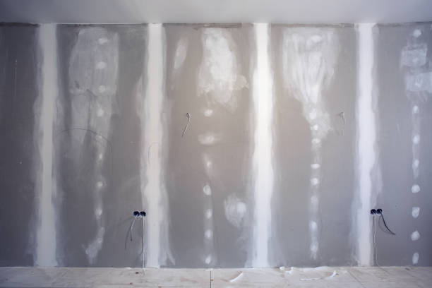 Best Basement Mold Removal  in USA